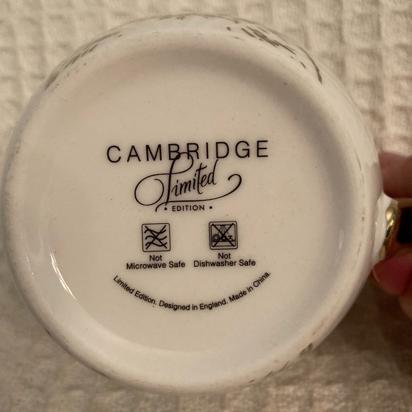 Cambridge Limited Edition Cat Mug Made In England - Picture 6 of 7